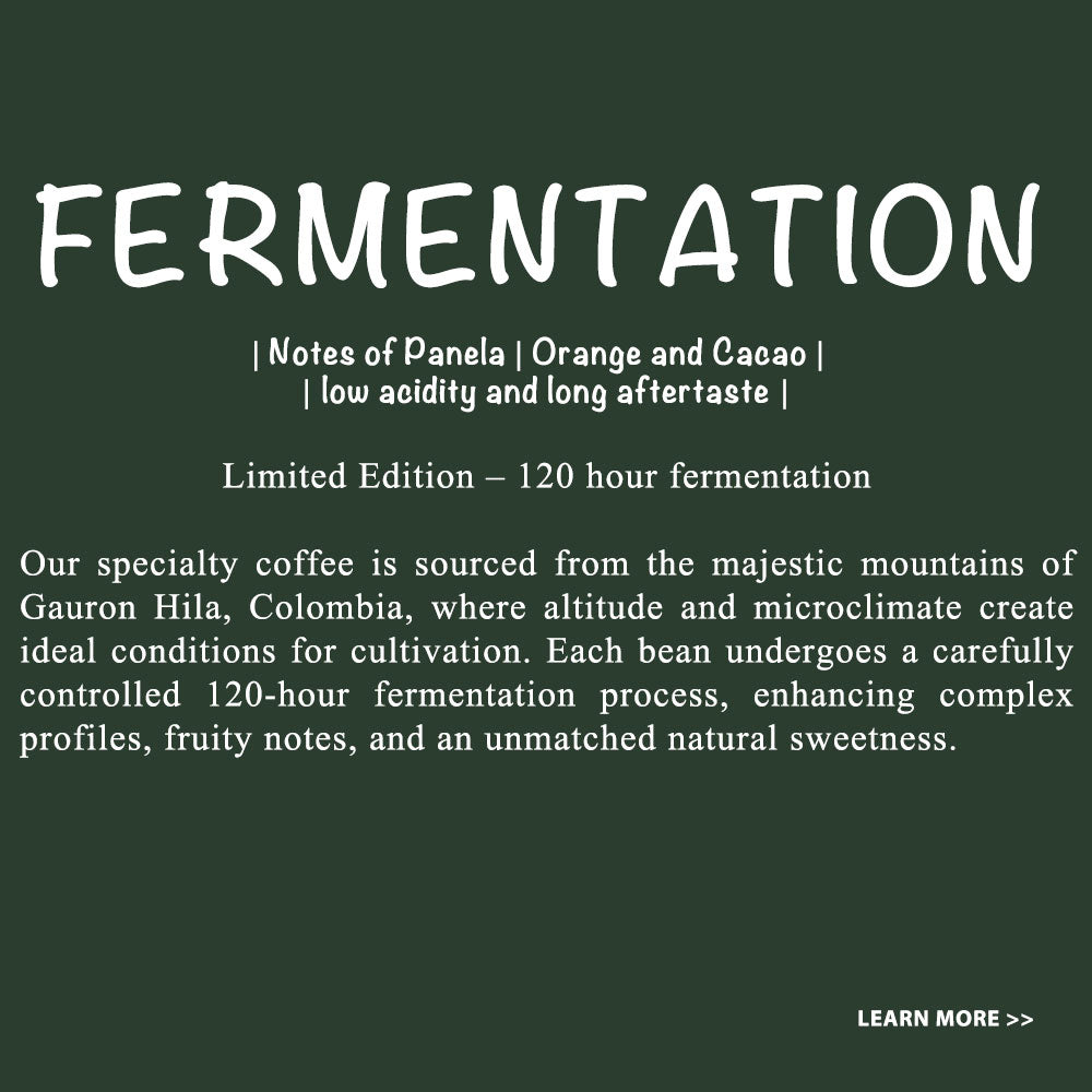 FERMENTATION